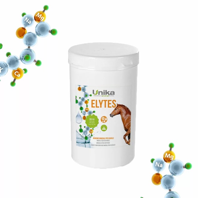 ELETTROLITI IN POLVERE 1 KG linea UNIKA  